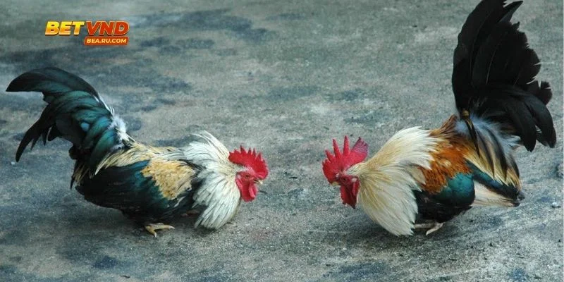 Bảng số liệu minh họa từng khung giờ