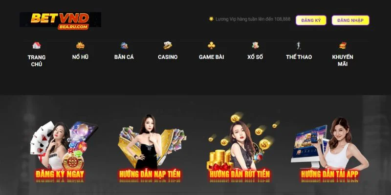 Các ưu đãi ấn tượng chào đón hội viên mới.