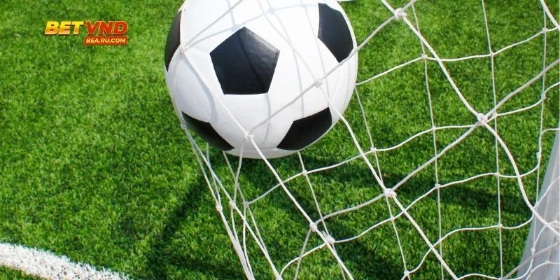 Hướng dẫn cụ thể bằng số liệu dễ hiểu và trực quan