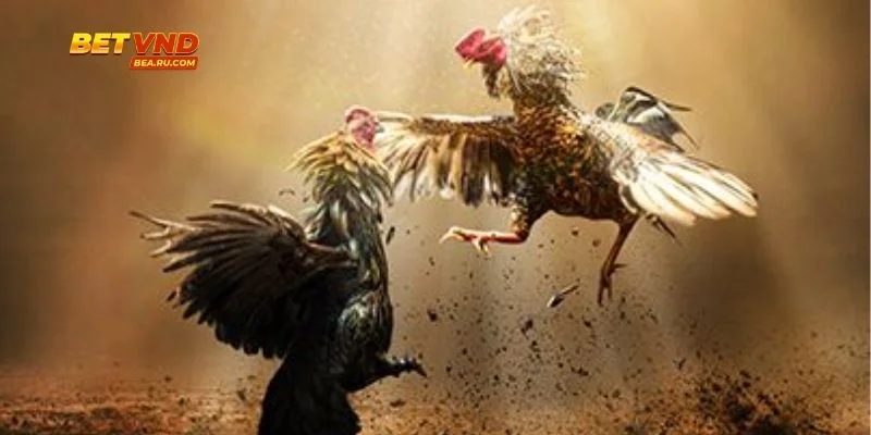 Mã được nhập chuẩn sẽ nhận thưởng