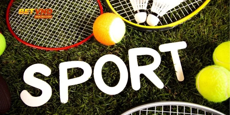 Thế giới giải trí thể thao đa dạng và hấp dẫn